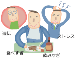 遺伝・食べすぎ・飲みすぎ・ストレス