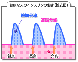 健康な人のインスリンの働き(模式図)